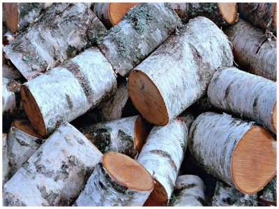 Берёзовые дрова
