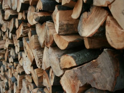Дрова дубовые